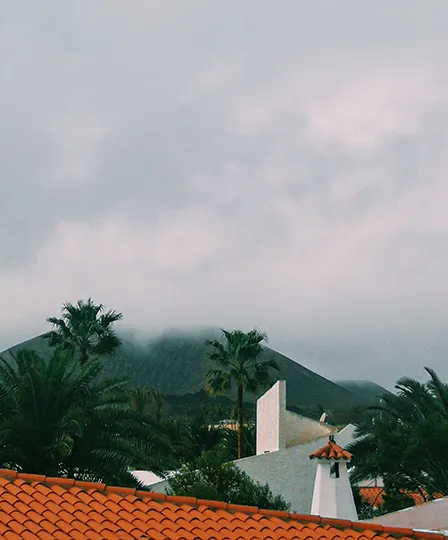 surf-fuerteventura-1.webp