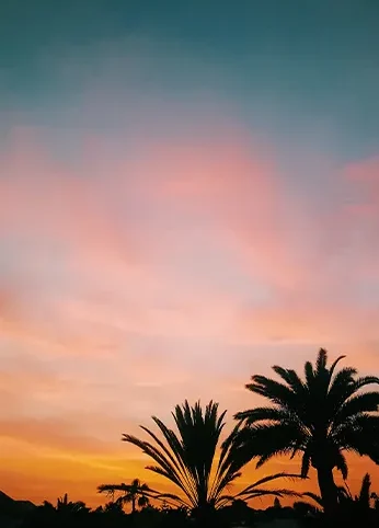 surf-fuerteventura-18-e1775340331392.webp